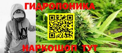 крисы Нягань