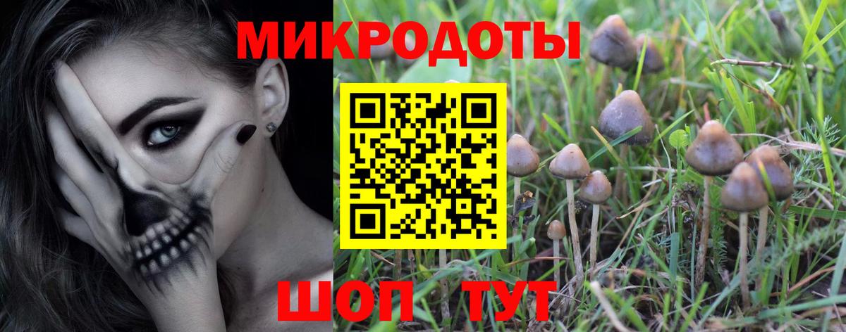 Псилоцибиновые грибы Magic Shrooms Тайшет